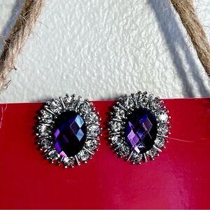 Glamorous Purple and Silver Crystal Earrings